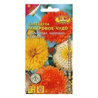 Семена цветов Календула "Махровое чудо", смесь, 0,5 г Семена цветов Календула "Махровое чудо", смесь, 0,5 г