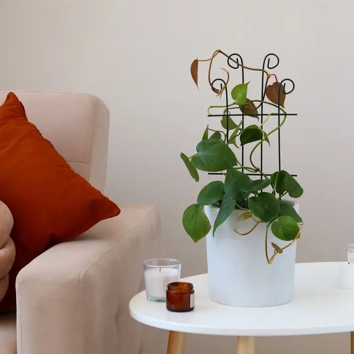 Шпалера, 40&times;18&times;0.3 см, металл, зелёная, &laquo;Узорная&raquo;