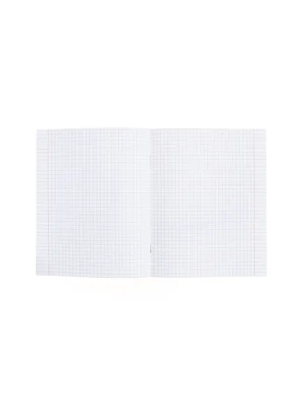 Предметная тетрадь по алгебре Hatber &laquo;Буквица&raquo;, 48 листов, в клетку, со справочным материалом, обложка из мелованного картона