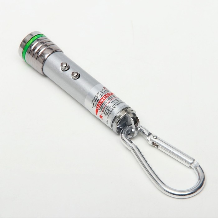 Лазерная указка  Лазерная указка "Мастер К", с карабином, 2 LED, 2 режима, 7 х 1.4 см