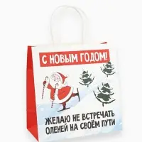 Пакеты подарочные &laquo;Весёлый Новый год&raquo;, набор 5 шт., 23&times;27&times;11.5 см