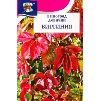 Семена Виноград девичий &laquo;Виргиния&raquo;, 0.3 г, &laquo;УРОЖАЙ УДАЧИ&raquo;
