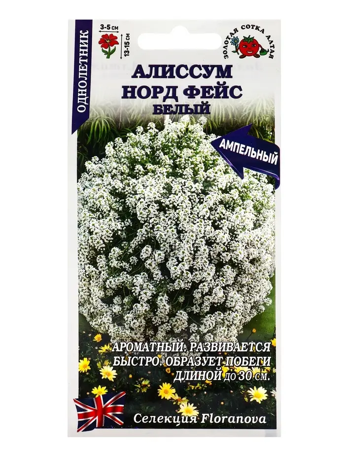 Семена Алиссум Норд фейс белый /Сотка/ 0,01г/*1800 Семена Алиссум Норд фейс белый /Сотка/ 0,01г/*1800