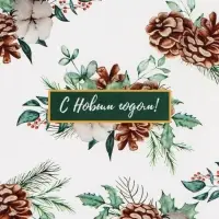 Бумага упаковочная крафт &laquo;Шишки&raquo;, 1 лист, 70&times;100 см