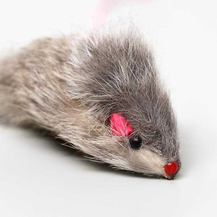 Дразнилка-удочка с серой мышью из натурального меха, 46 см, палочка микс цветов Дразнилка-удочка с серой мышью из натурального меха, 46 см, палочка микс цветов