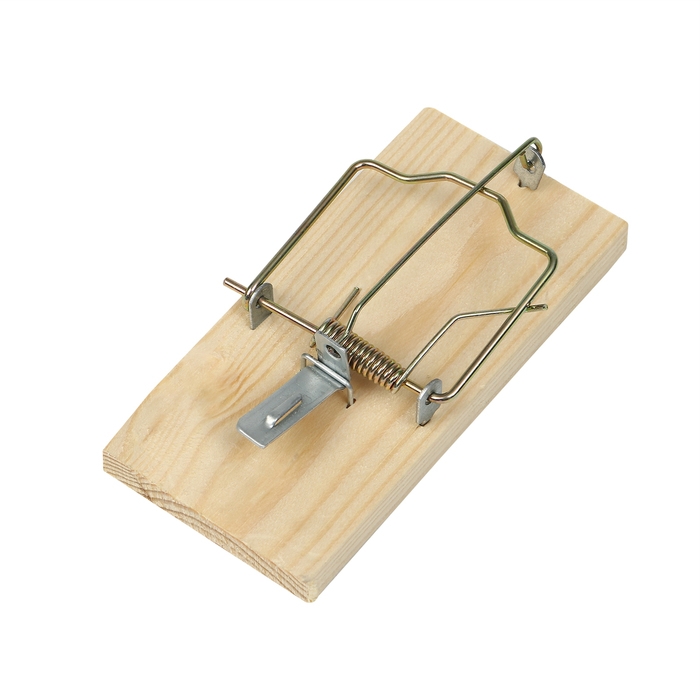 Крысоловка, 6 × 12 см, деревянная, Greengo Крысоловка, 6 × 12 см, деревянная, Greengo