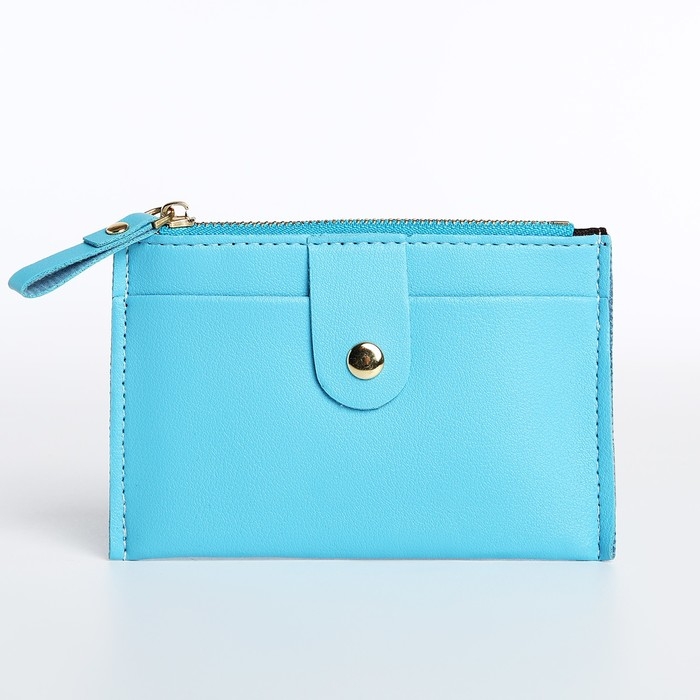 Картхолдер на молнии, цвет голубой Картхолдер на молнии, цвет голубой