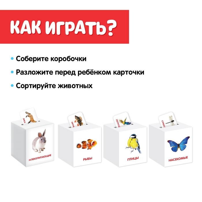 Сортер-копилка «Животные» по методике Г. Домана Сортер-копилка «Животные» по методике Г. Домана