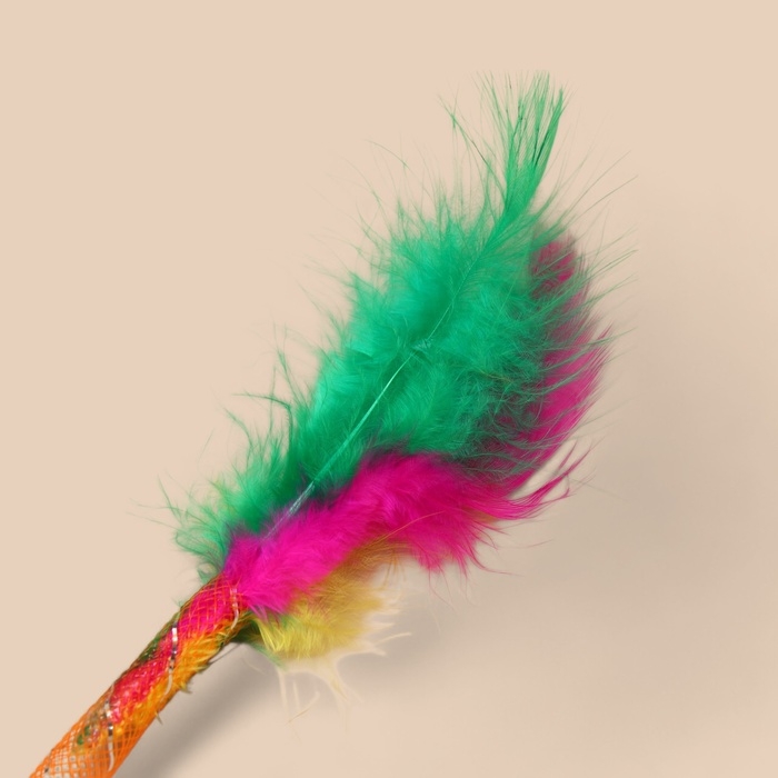 Дразнилка  Дразнилка "Волнушки", 50 см, микс цветов