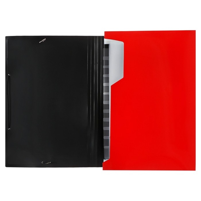 Папка картотека А4, Calligrata TOP DeLuxe, 13 отделений, пластиковая, 1000 мкм, красная