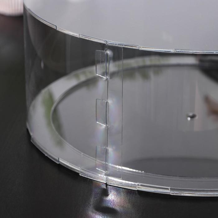 Фальшярус для торта, цилиндр, d=25 см, h=12 см, цвет прозрачный Фальшярус для торта, цилиндр, d=25 см, h=12 см, цвет прозрачный