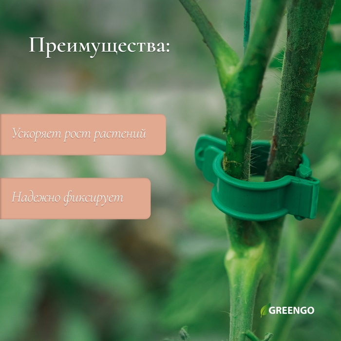 Клипса садовая, d = 20 мм, набор 100 шт., зелёный, Greengo