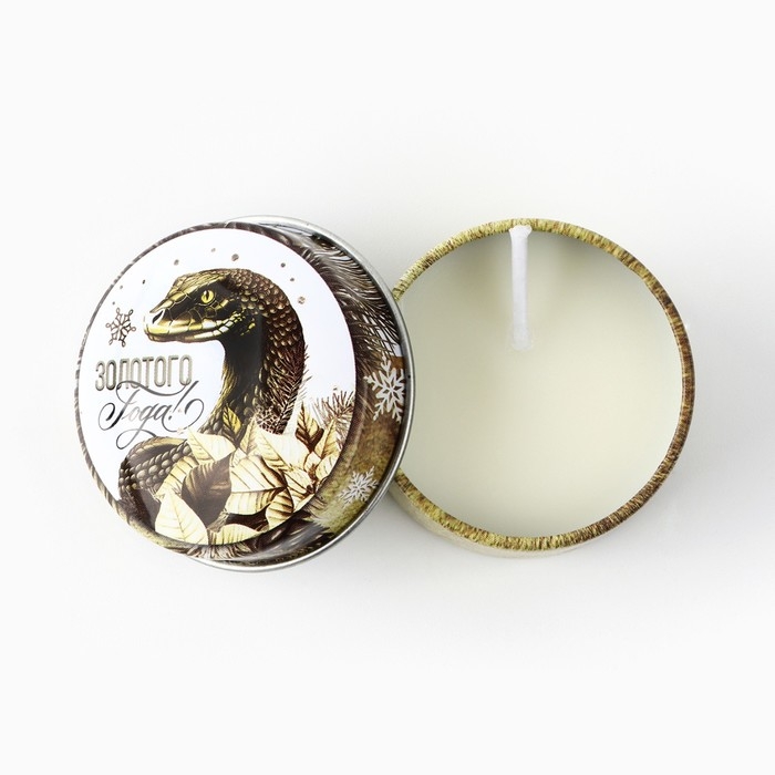 Свеча новогодняя в железной банке «Новый год: Золотая«Новый год: аромат ваниль, 4.8 см Свеча новогодняя в железной банке «Новый год: Золотая«Новый год: аромат ваниль, 4.8 см