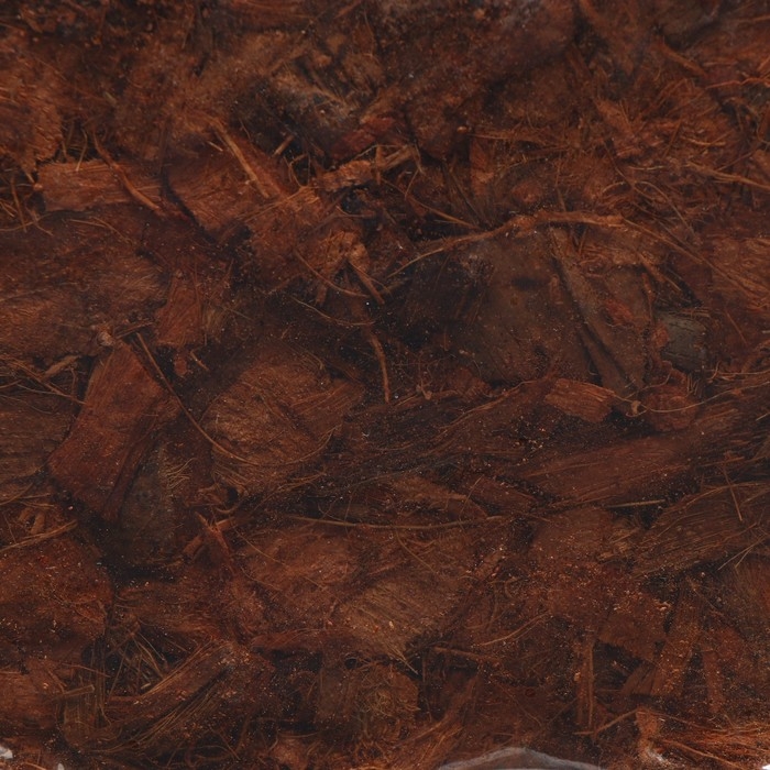 Субстрат Greengo кокосовые чипсы, натуральный грунт для террариумов и растений, в брикете, 5 л при разбухании Субстрат Greengo кокосовые чипсы, натуральный грунт для террариумов и растений, в брикете, 5 л при разбухании