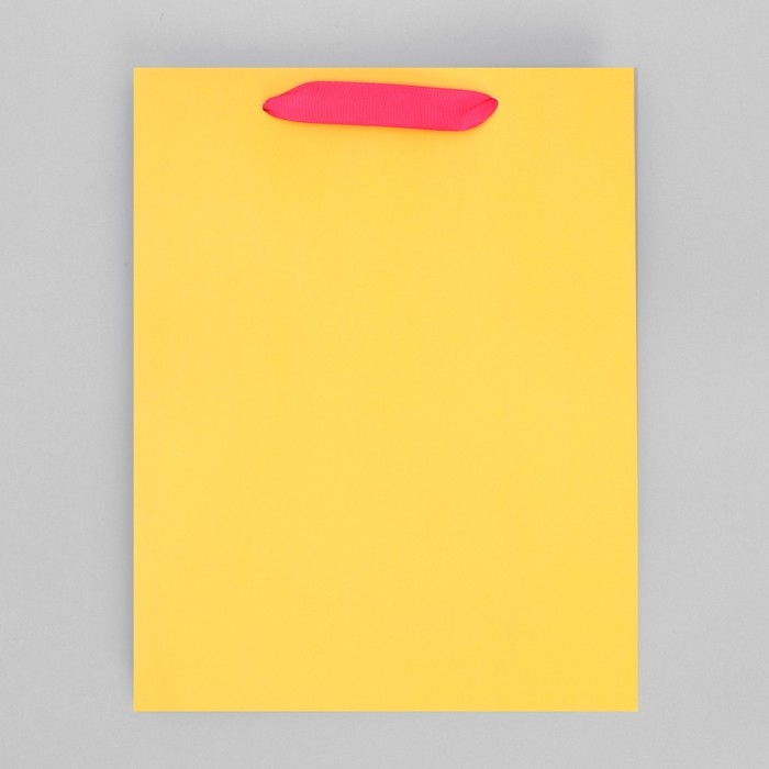 Пакет подарочный трёхцветный, упаковка, «Жёлтый-розовый-голубой», MS 18 х 23 х 10 см