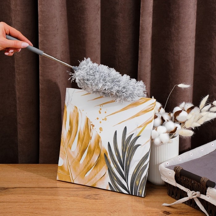 Щётка для пыли Raccoon, телескопическая ручка 33-81 см, насадка из микрофибры 17 см Щётка для пыли Raccoon, телескопическая ручка 33-81 см, насадка из микрофибры 17 см