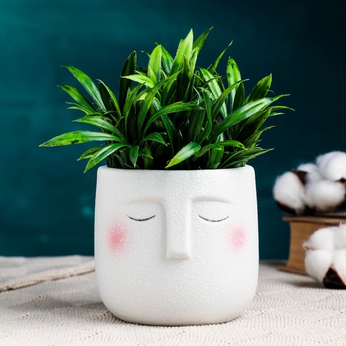 Горшок  Горшок "Мистер Твикс" 10х9,5см, белый, 0,6л, d-8,5