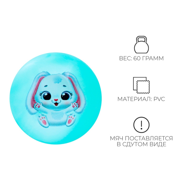 Мяч детский ZABIAKA «Зайчонок», d=22 см, цвет МИКС Мяч детский ZABIAKA «Зайчонок», d=22 см, цвет МИКС