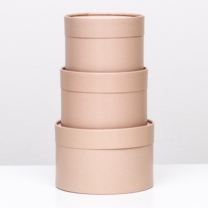 Набор шляпных коробок 3 в 1, капучино, 16 х 10,14 х 9,13 х 8,5 см