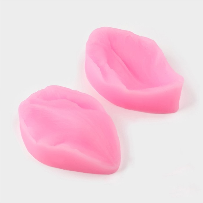 Молд «Лепесток яблони», силикон, 2 предмета, 5,1×3,8 см, цвет МИКС Молд «Лепесток яблони», силикон, 2 предмета, 5,1×3,8 см, цвет МИКС