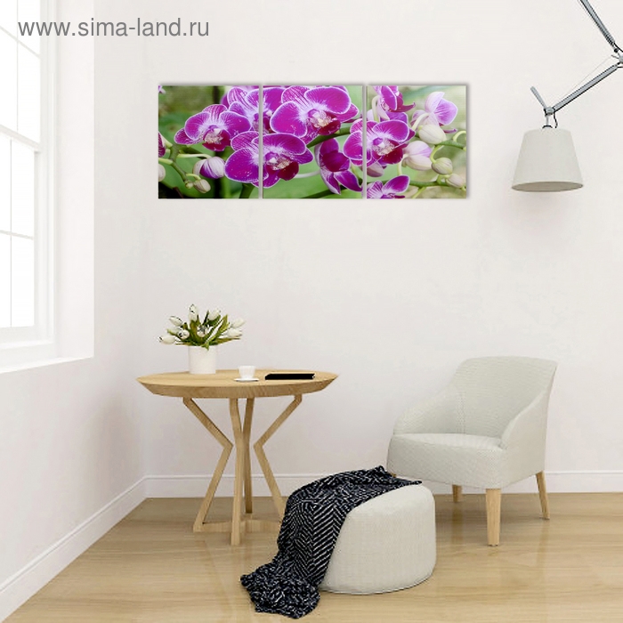 Модульная картина  Модульная картина "Веточка орхидеи" (3-35х35) 35х105 см