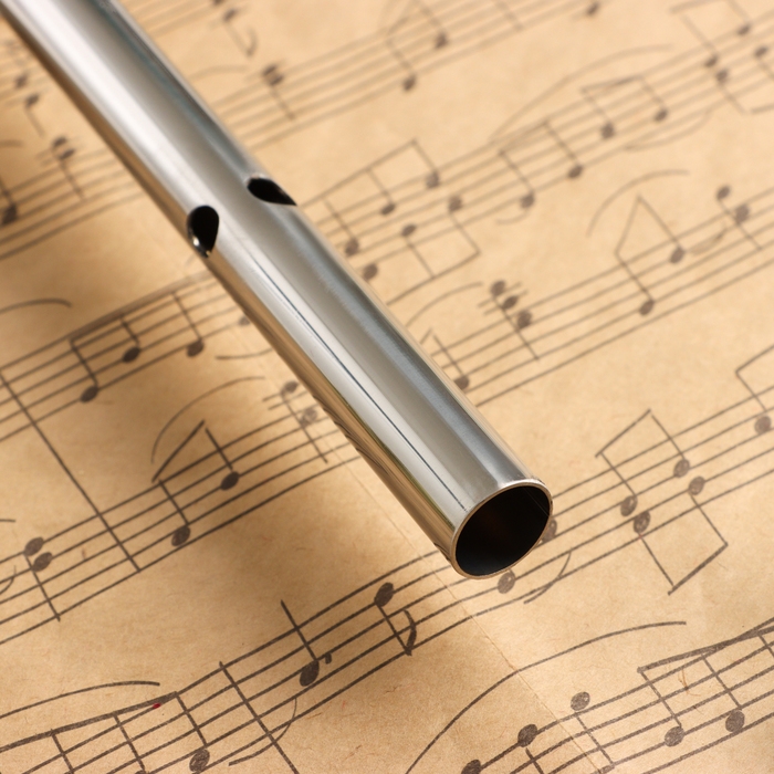 Флейта Music Life 304, 46 см, нержавеющая сталь, тональность F Флейта Music Life 304, 46 см, нержавеющая сталь, тональность F
