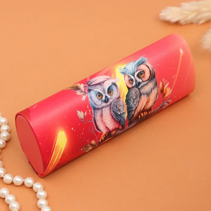 Очечник Очечник "Совы парочка", 17х7 см