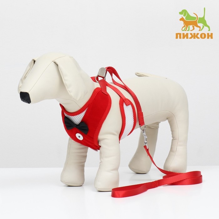 Комплект с мягкой шлейкой и бантиком, размер L, поводок 120 x 1,5 см, ОГ 35-50 см, красный Комплект с мягкой шлейкой и бантиком, размер L, поводок 120 x 1,5 см, ОГ 35-50 см, красный