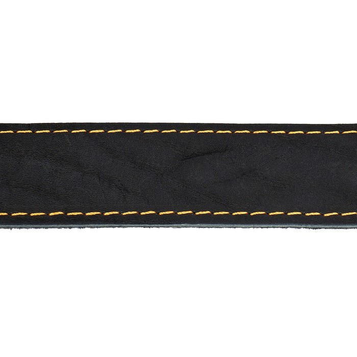 Ошейник кожаный на синтепоне, 70 х 3,5 см, ОШ 45-60 см, чёрный