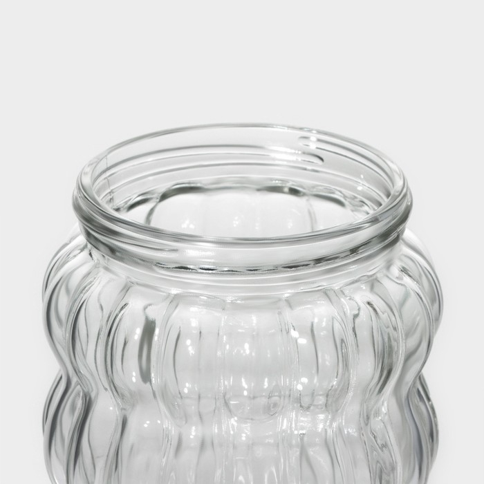 Банки стеклянные для сыпучих продуктов Доляна «Коралл», 2 предмета: 500 мл, 9×12,5 см, с пластиковой крышкой Банки стеклянные для сыпучих продуктов Доляна «Коралл», 2 предмета: 500 мл, 9×12,5 см, с пластиковой крышкой