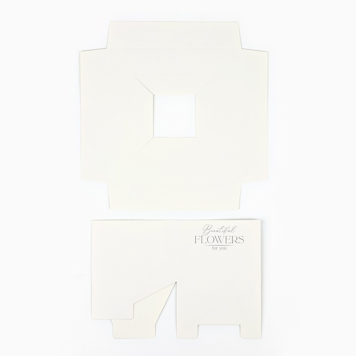 Коробка подарочная складная переноска для цветов, упаковка, «Чистота», 20 x 20 x 4 см Коробка подарочная складная переноска для цветов, упаковка, «Чистота», 20 x 20 x 4 см