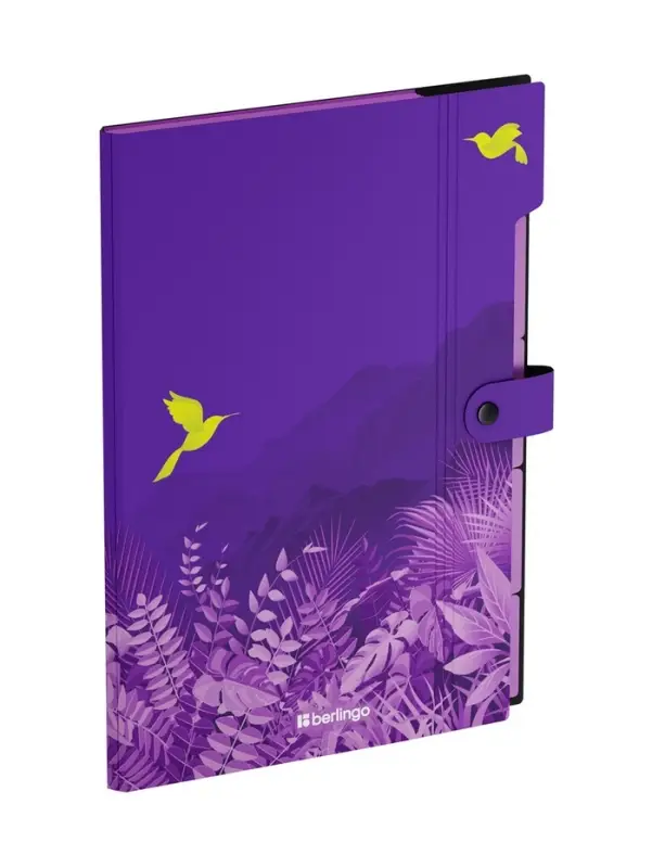 Папка А4 Flower Art, 5 отделений, 600 мкм, на кнопке, с рисунком