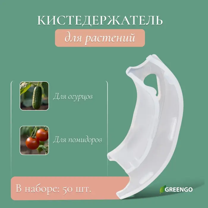 Кистедержатель «Улитка», 3.5 см, набор 50 шт., Greengo