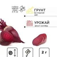 Семена Свекла "Фекла", ц/п, 2 г