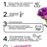 Семена цветов Эустома &laquo;Эйбиси&raquo;, F1, пурпурная крупноцветковая махровая, 5 шт., &laquo;Аэлита&raquo; селекция PanAmerican Seed