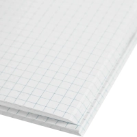 Книга учета Выбор есть А4 96л клетка блок типограф обл. картон