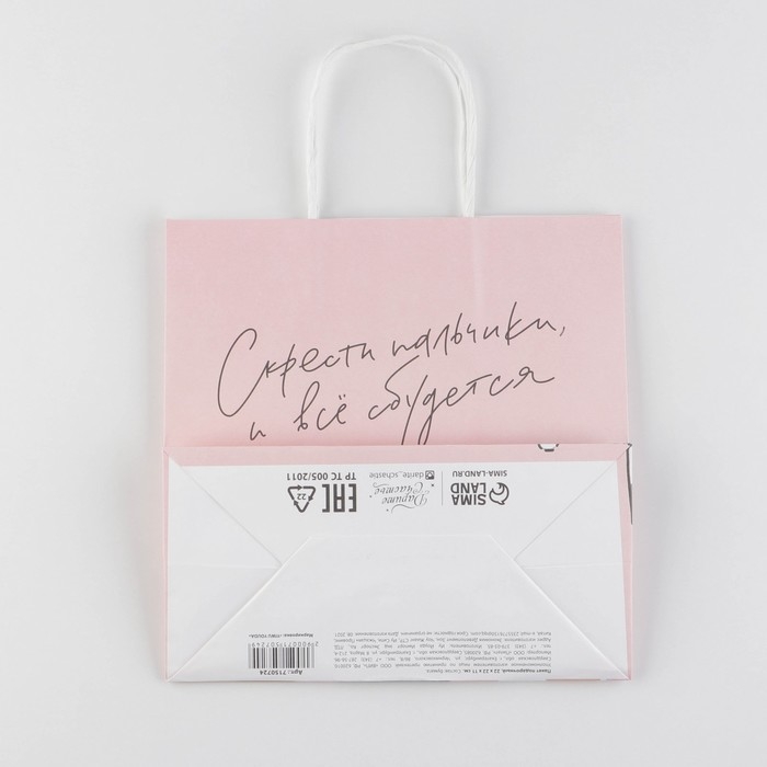 Пакет подарочный, упаковка, «Киса», 22 х 22 х 11 см