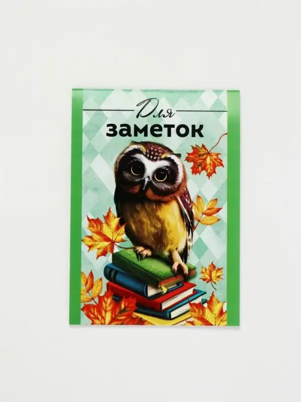 Блокнот &laquo;Для заметок&raquo;, А7, 16 листов
