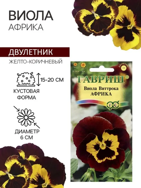 Семена Виола Семена Виола "Африка", ц/п, 0,05 г