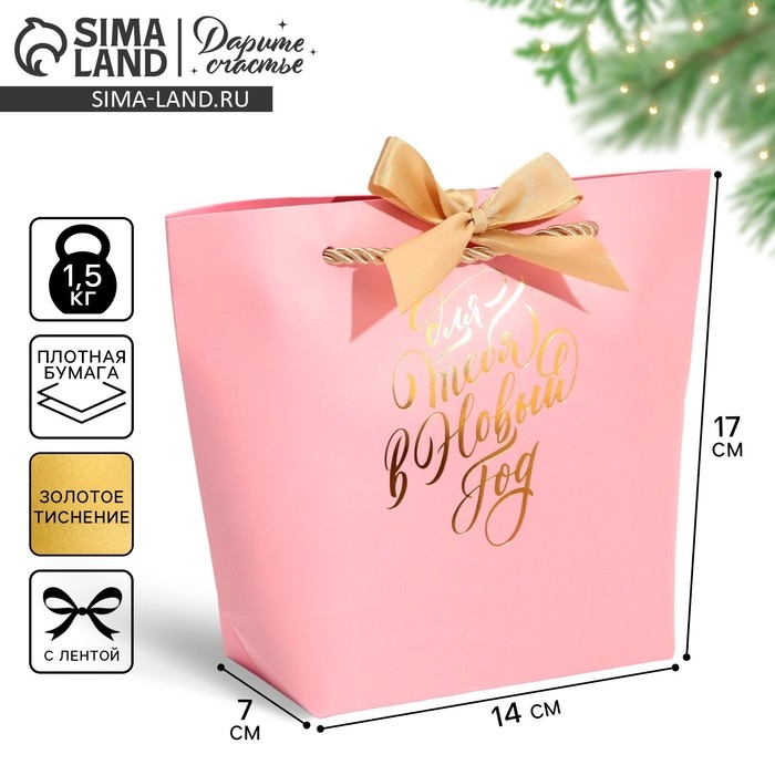 Пакет подарочный новогодний «For you», 14 х 17 х 7 см, Новый год Пакет подарочный новогодний «For you», 14 х 17 х 7 см, Новый год