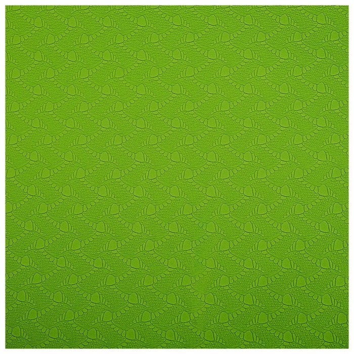 Коврик для йоги Sangh, 183×61×0,8 см, цвет зелёный Коврик для йоги Sangh, 183×61×0,8 см, цвет зелёный