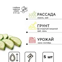 Семена Кабачок цукини &laquo;Касуми&raquo;, F1, 5 шт., &laquo;Аэлита&raquo;