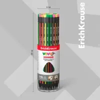 Карандаш чернографитный, ErichKrause «Vivo», HB, d=2.2 мм, с ластиком, дерево, трехгранный в тубусе, микс