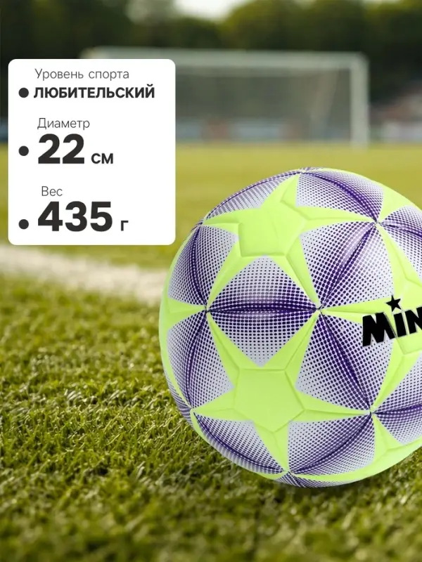 Футбольный мяч MINSA, машинная сшивка, 12 панелей, р. 5, TPE
