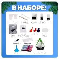 Набор для опытов &laquo;Новогодние чудеса&raquo;, 8 опытов