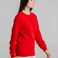 Свитшот унисекс BNC Inspire (Organic), красный, размер S