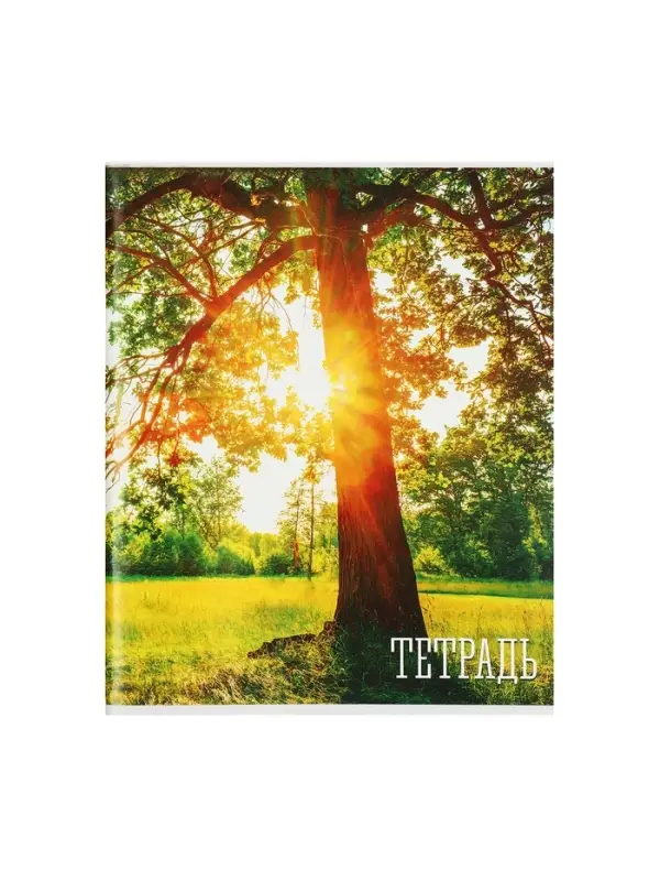 Тетрадь 48 листов в клетку, Calligrata «Времена года», обложка мелованная бумага, серые листы, МИКС