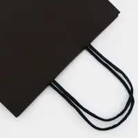 Пакет крафт «Радуга», чёрный, 18×8×25 см, 80 г/м², 1 шт.