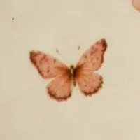 Тарелка &laquo;Нежность природы&raquo;, 18 х 18 см