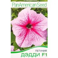 Семена цветов Петуния Дэдди F1 пепперминт  (драже в пробирке) Спецсерия PanAmerican, Ц/П,7 шт. 10945